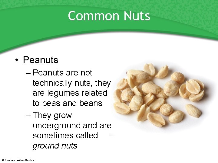 Common Nuts • Peanuts – Peanuts are not technically nuts, they are legumes related