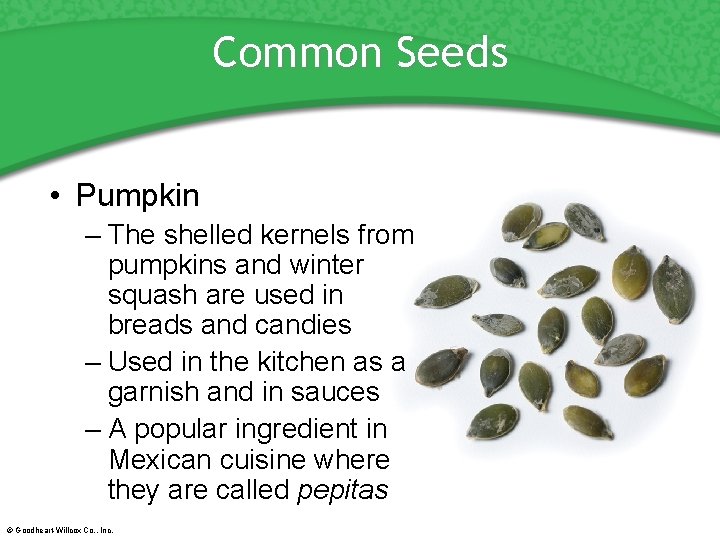 Common Seeds • Pumpkin – The shelled kernels from pumpkins and winter squash are