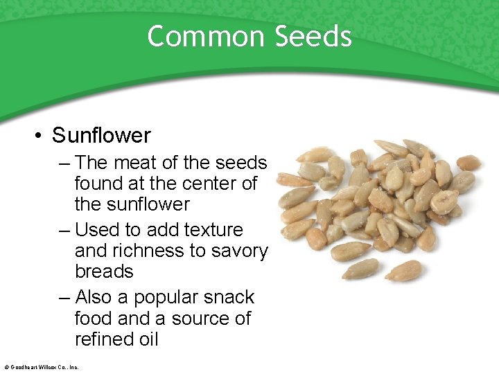 Common Seeds • Sunflower – The meat of the seeds found at the center