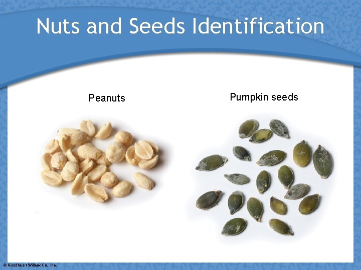 Nuts and Seeds Identification Peanuts © Goodheart-Willcox Co. , Inc. Pumpkin seeds 