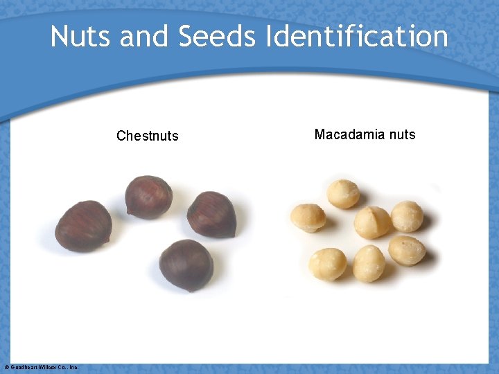 Nuts and Seeds Identification Chestnuts © Goodheart-Willcox Co. , Inc. Macadamia nuts 