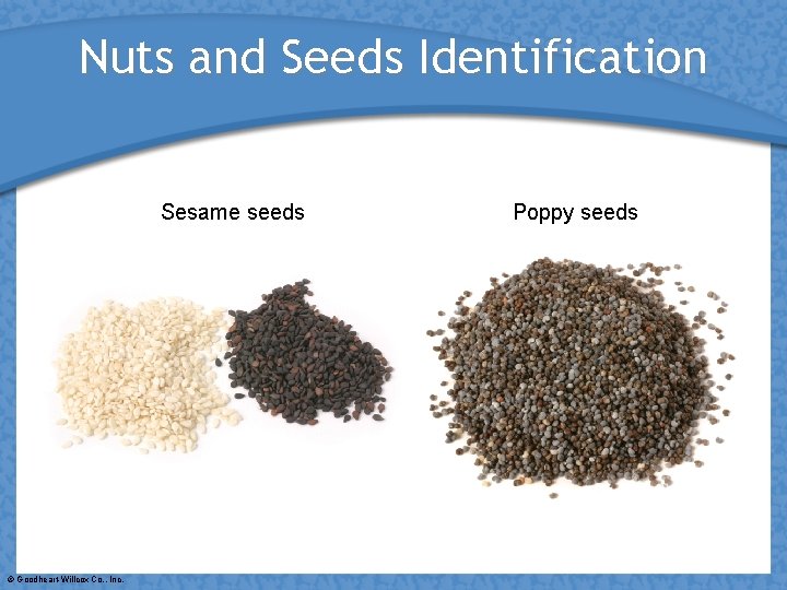 Nuts and Seeds Identification Sesame seeds © Goodheart-Willcox Co. , Inc. Poppy seeds 