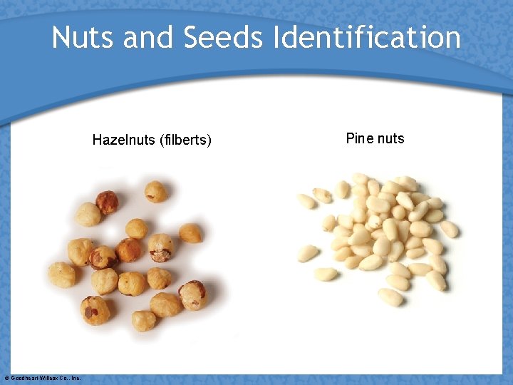 Nuts and Seeds Identification Hazelnuts (filberts) © Goodheart-Willcox Co. , Inc. Pine nuts 