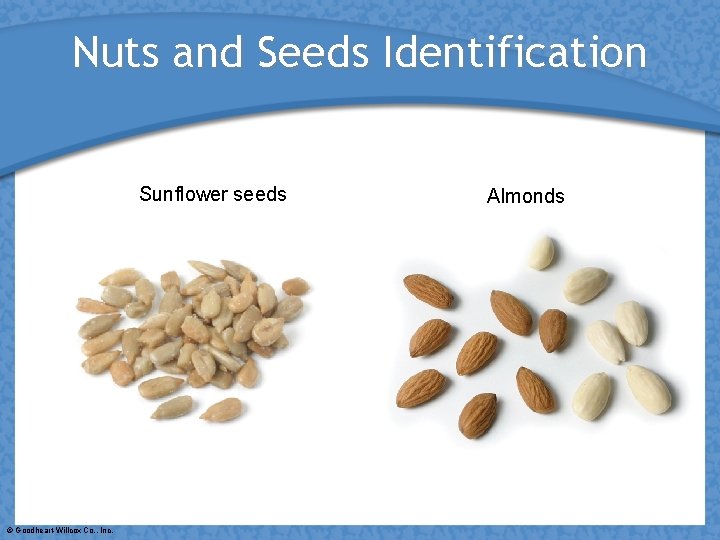 Nuts and Seeds Identification Sunflower seeds © Goodheart-Willcox Co. , Inc. Almonds 