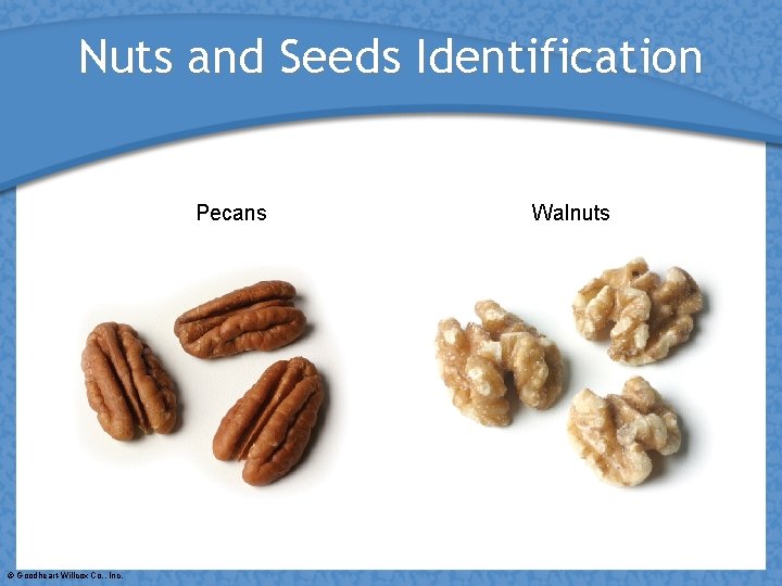 Nuts and Seeds Identification Pecans © Goodheart-Willcox Co. , Inc. Walnuts 