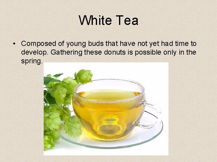 White Tea • Composed of young buds that have not yet had time to