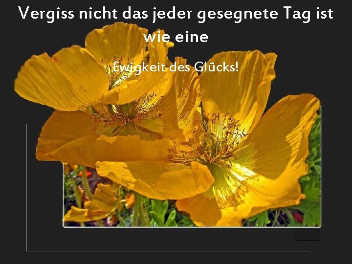 Vergiss nicht das jeder gesegnete Tag ist wie eine Ewigkeit des Glücks! 