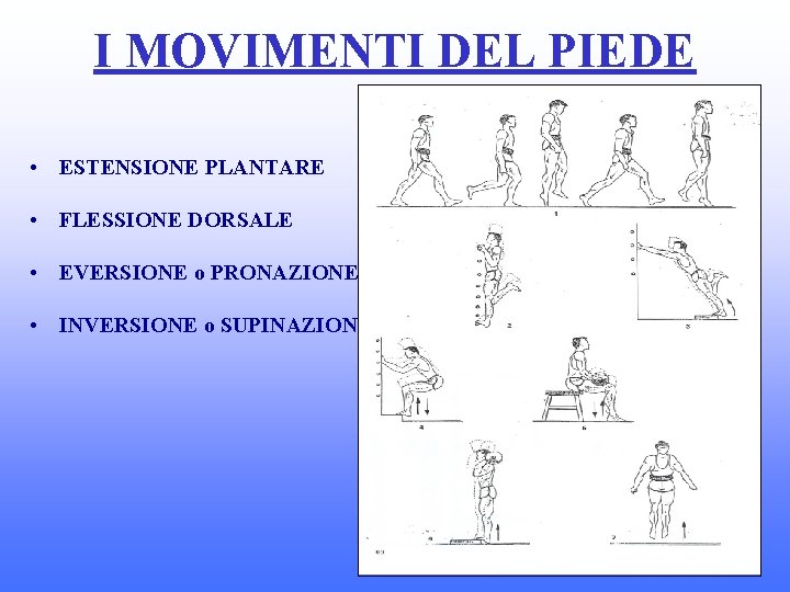 I MOVIMENTI DEL PIEDE • ESTENSIONE PLANTARE • FLESSIONE DORSALE • EVERSIONE o PRONAZIONE