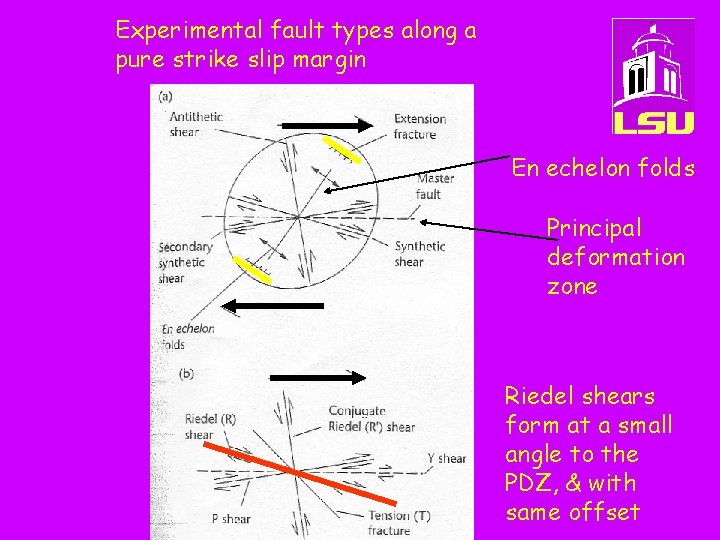 Experimental fault types along a pure strike slip margin En echelon folds Principal deformation