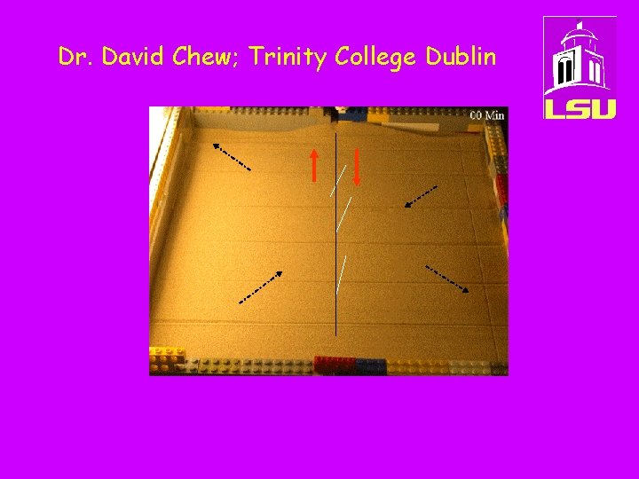 Dr. David Chew; Trinity College Dublin 