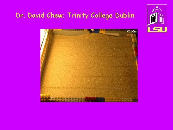 Dr. David Chew; Trinity College Dublin 