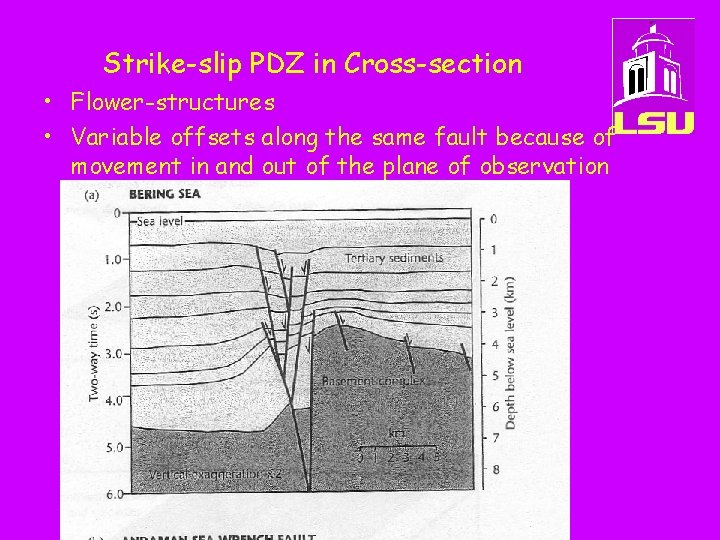 Strike-slip PDZ in Cross-section • Flower-structures • Variable offsets along the same fault because
