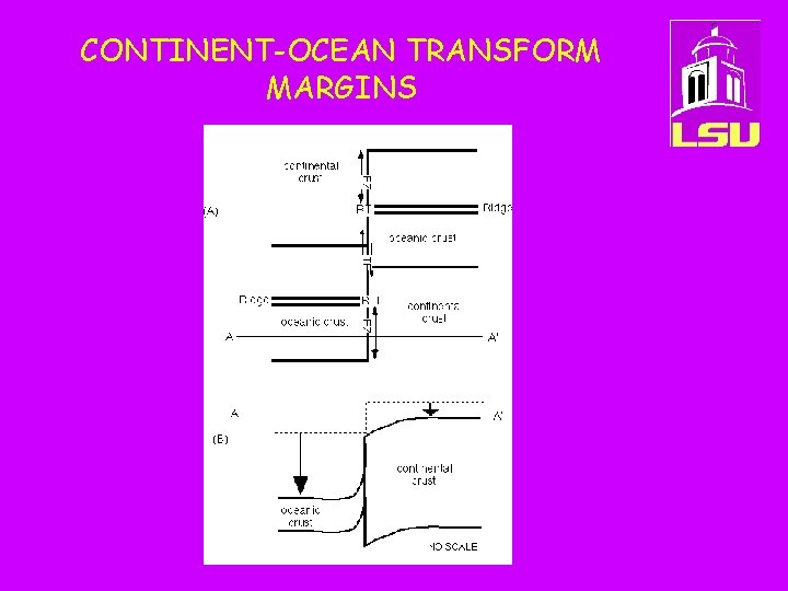 CONTINENT-OCEAN TRANSFORM MARGINS 