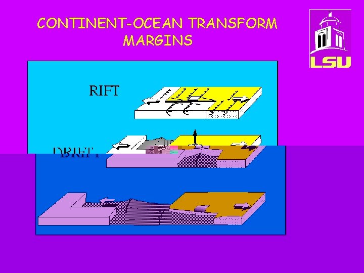 CONTINENT-OCEAN TRANSFORM MARGINS 
