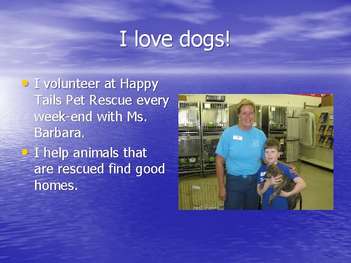 I love dogs! • I volunteer at Happy • Tails Pet Rescue every week-end