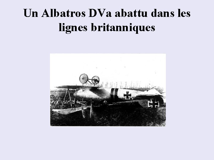 Un Albatros DVa abattu dans les lignes britanniques 