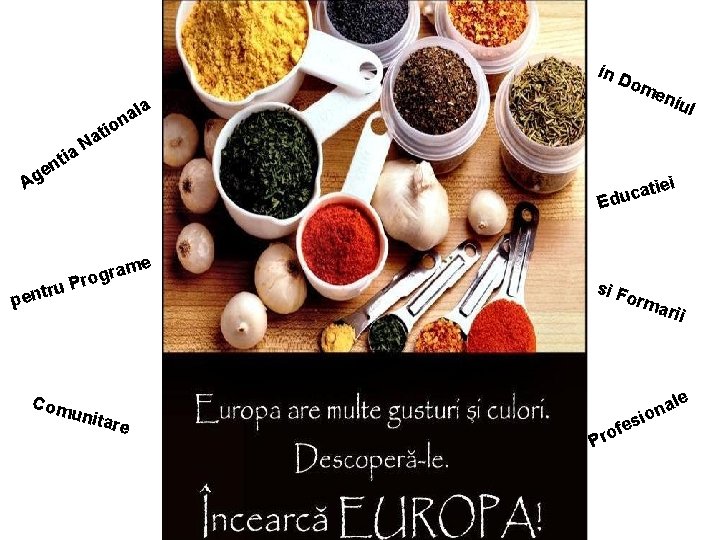 in D om la a ion eni ul t a a. N ti n