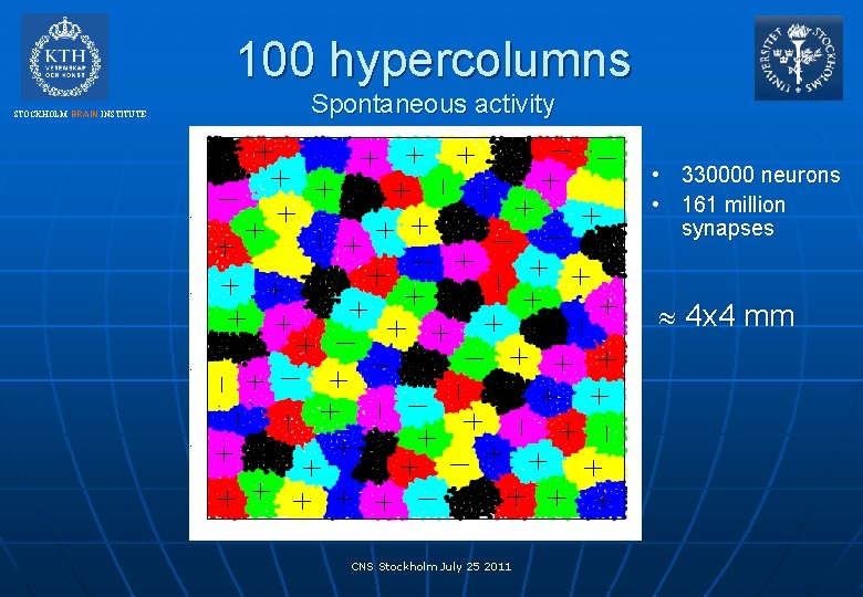 100 hypercolumns STOCKHOLM BRAIN INSTITUTE Spontaneous activity • 330000 neurons • 161 million synapses