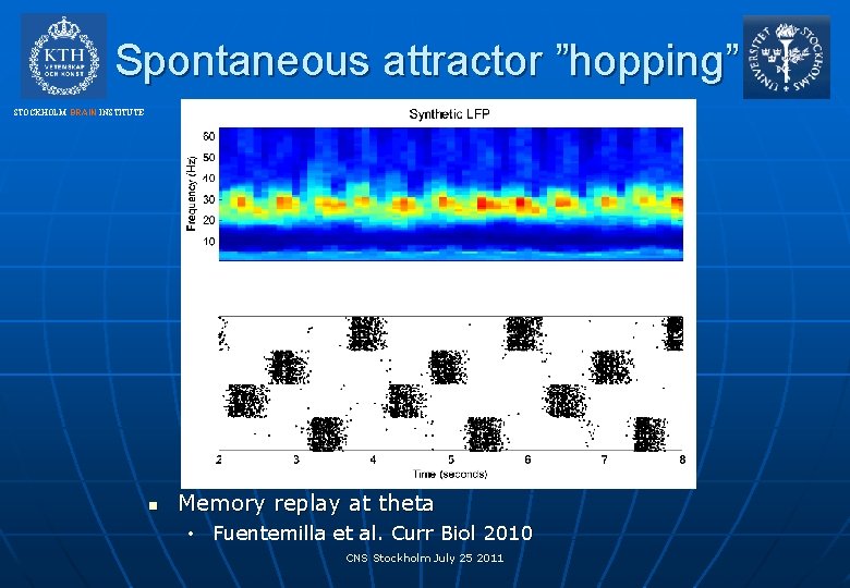 Spontaneous attractor ”hopping” STOCKHOLM BRAIN INSTITUTE n Memory replay at theta • Fuentemilla et