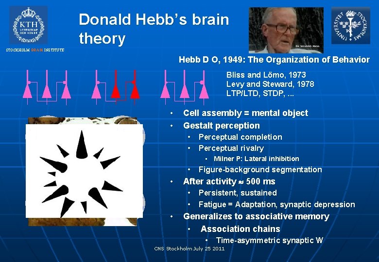 Donald Hebb’s brain theory STOCKHOLM BRAIN INSTITUTE Hebb D O, 1949: The Organization of