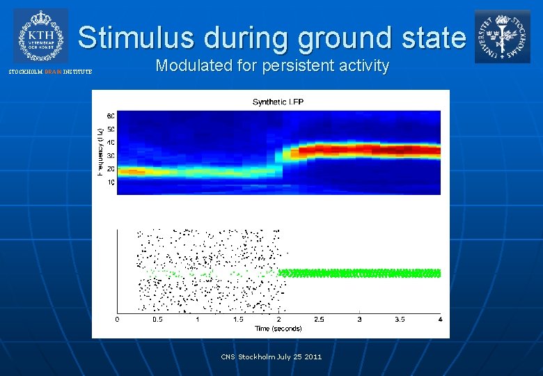 Stimulus during ground state STOCKHOLM BRAIN INSTITUTE Modulated for persistent activity CNS Stockholm July