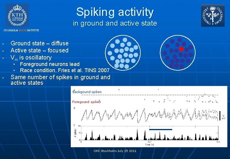 Spiking activity in ground active state STOCKHOLM BRAIN INSTITUTE • • • Ground state