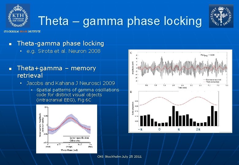 Theta – gamma phase locking STOCKHOLM BRAIN INSTITUTE n Theta-gamma phase locking • e.