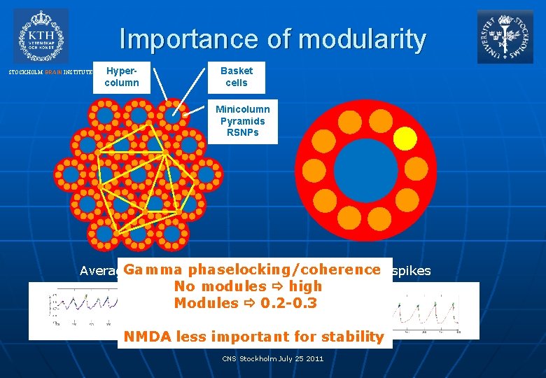 Importance of modularity STOCKHOLM BRAIN INSTITUTE Hypercolumn Basket cells Minicolumn Pyramids RSNPs Gamma phaselocking/coherence