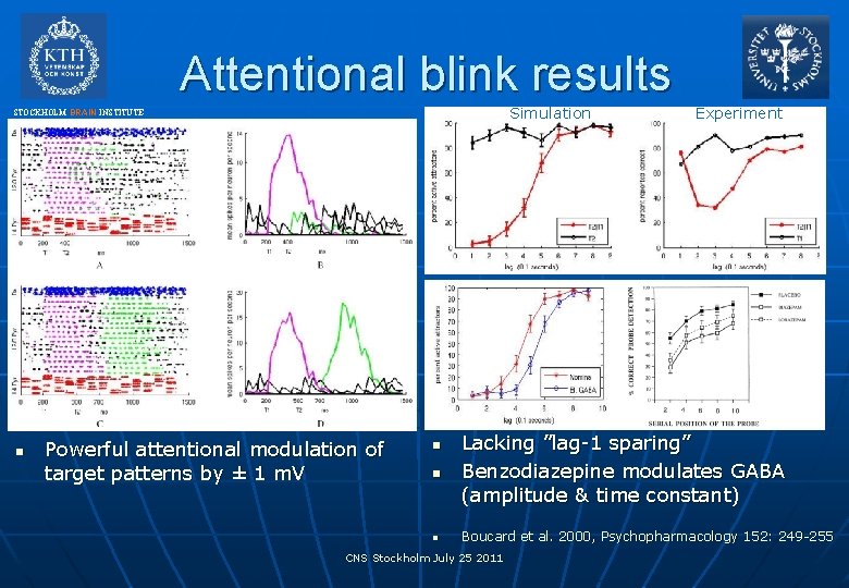 Attentional blink results Simulation STOCKHOLM BRAIN INSTITUTE n Powerful attentional modulation of target patterns