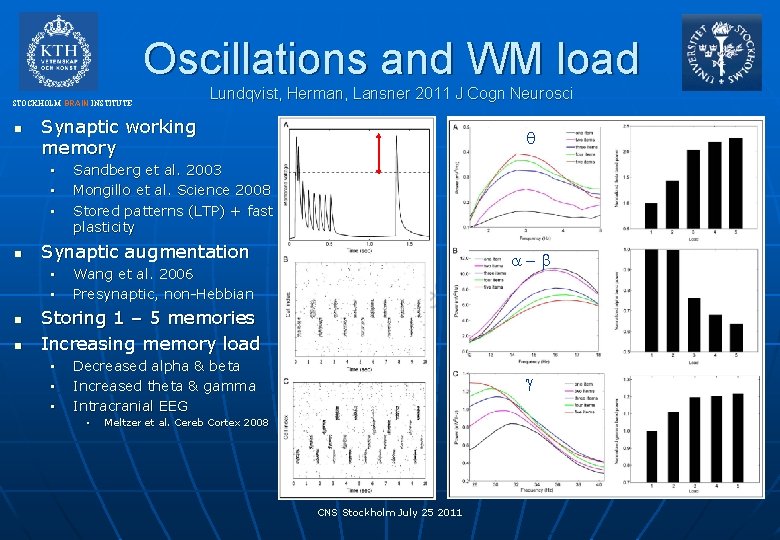 Oscillations and WM load STOCKHOLM BRAIN INSTITUTE n Synaptic working memory • • •