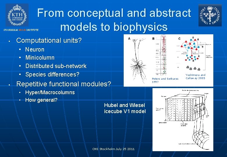 From conceptual and abstract models to biophysics STOCKHOLM BRAIN INSTITUTE • Computational units? •