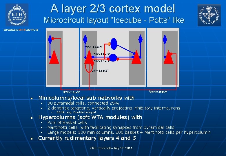 A layer 2/3 cortex model Microcircuit layout “Icecube - Potts” like STOCKHOLM BRAIN INSTITUTE
