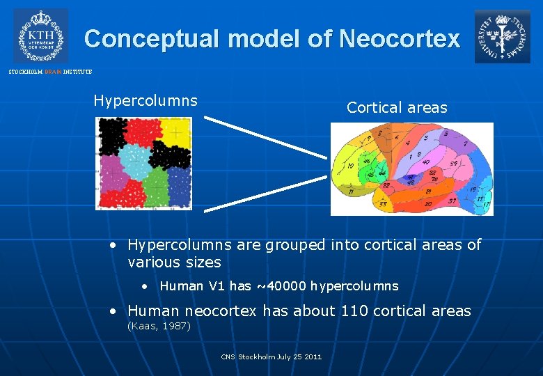 Conceptual model of Neocortex STOCKHOLM BRAIN INSTITUTE Hypercolumns Cortical areas • Hypercolumns are grouped