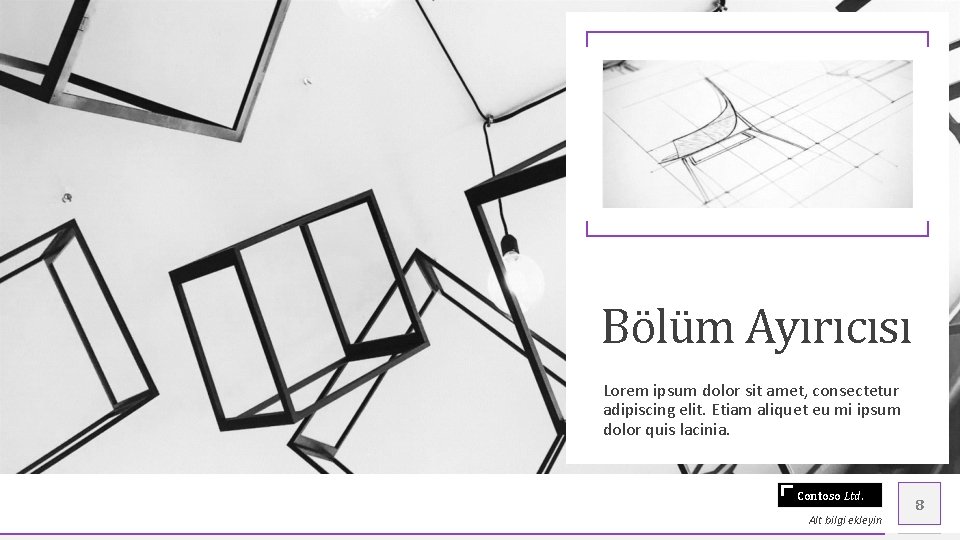 Bölüm Ayırıcısı Lorem ipsum dolor sit amet, consectetur adipiscing elit. Etiam aliquet eu mi