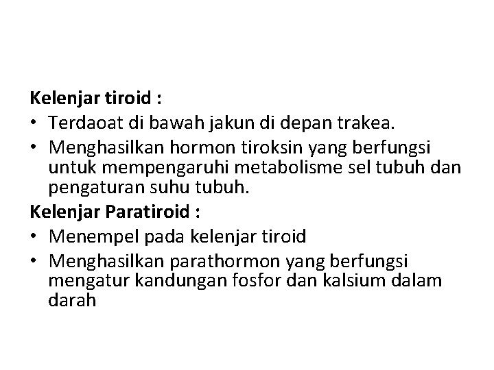 Kelenjar tiroid : • Terdaoat di bawah jakun di depan trakea. • Menghasilkan hormon