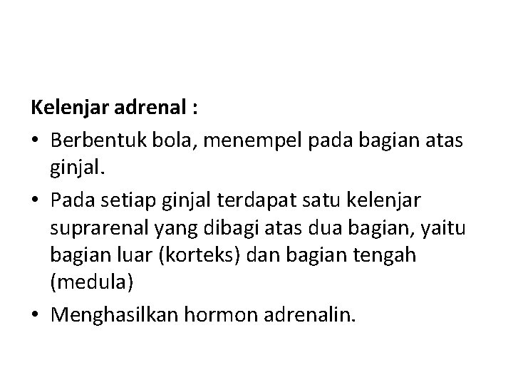 Kelenjar adrenal : • Berbentuk bola, menempel pada bagian atas ginjal. • Pada setiap