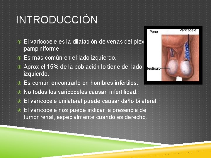 INTRODUCCIÓN El varicocele es la dilatación de venas del plexo pampiniforme. Es más común