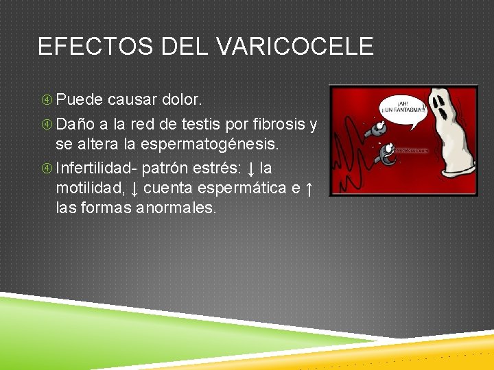 EFECTOS DEL VARICOCELE Puede causar dolor. Daño a la red de testis por fibrosis