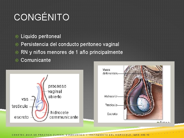 CONGÉNITO Liquido peritoneal Persistencia del conducto peritoneo vaginal RN y niños menores de 1