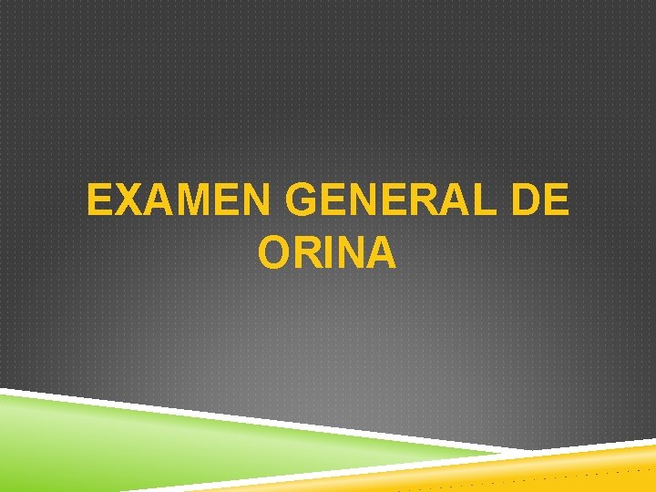 EXAMEN GENERAL DE ORINA 