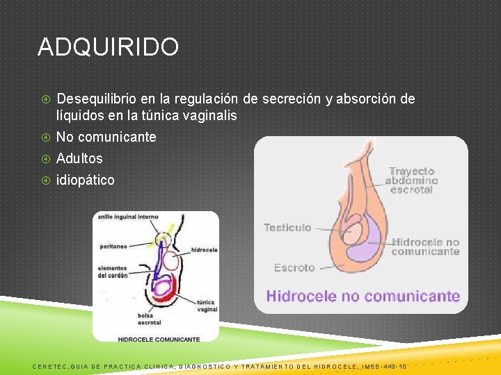 ADQUIRIDO Desequilibrio en la regulación de secreción y absorción de líquidos en la túnica