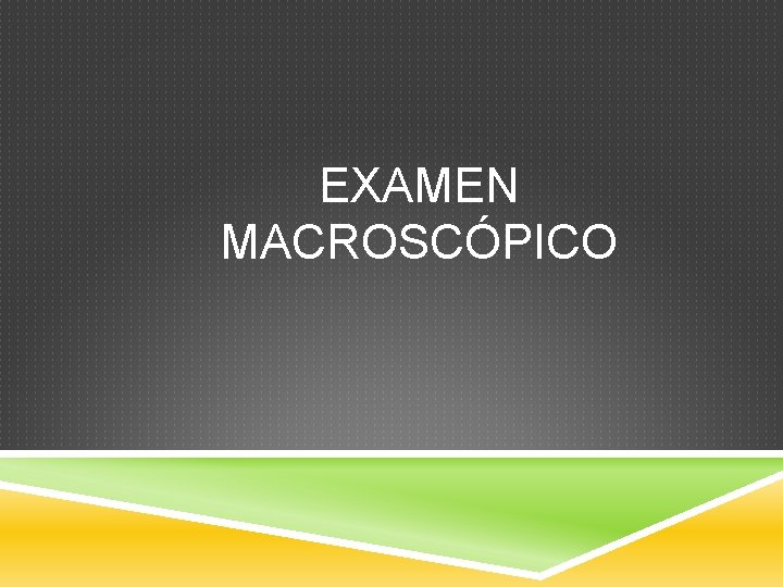 EXAMEN MACROSCÓPICO 