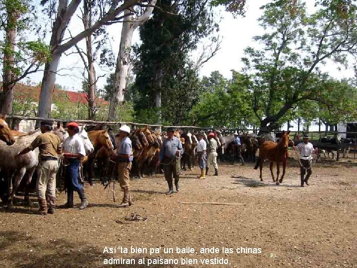 Así 'ta bien pa' un baile, ande las chinas admiran al paisano bien vestido,