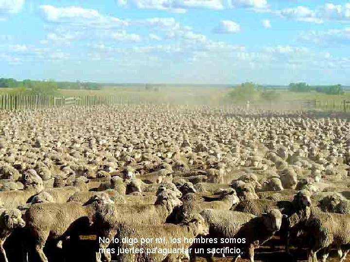 No lo digo por mí, los hombres somos mas juertes pa'aguantar un sacrificio, 