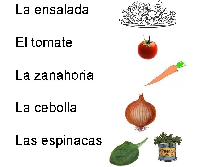 La ensalada El tomate La zanahoria La cebolla Las espinacas 