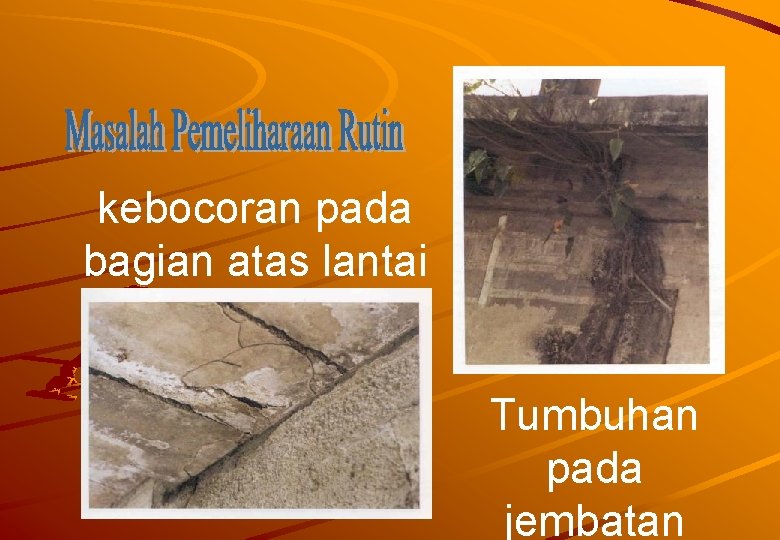 kebocoran pada bagian atas lantai Tumbuhan pada jembatan 