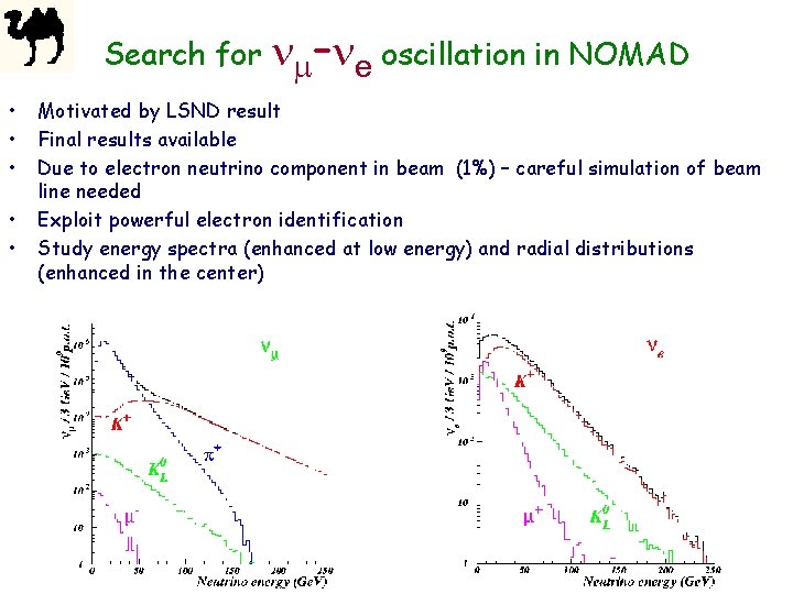 Search for • • • – e oscillation in NOMAD Motivated by LSND result