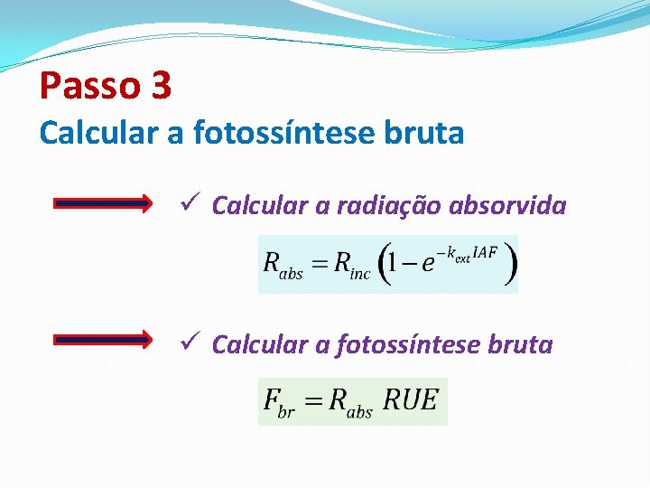 Passo 3 Calcular a fotossíntese bruta ü Calcular a radiação absorvida ü Calcular a