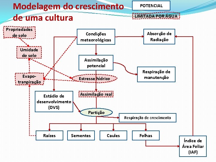 Modelagem do crescimento de uma cultura Propriedades do solo Condições meteorológicas Umidade do solo