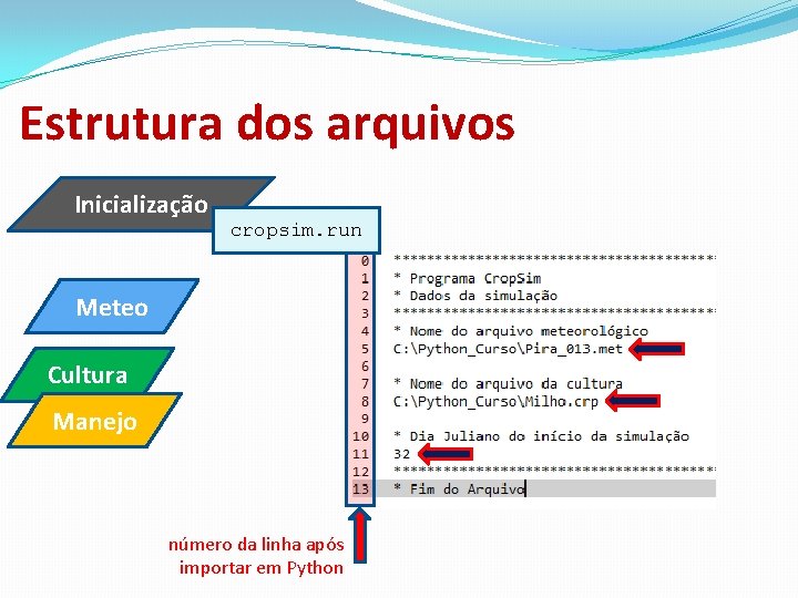 Estrutura dos arquivos Inicialização cropsim. run Meteo Cultura Manejo número da linha após importar